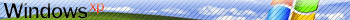 win xp user