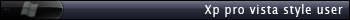 xp pro vista style user