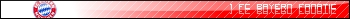 1 FC Bayern Muenchen Fanatic