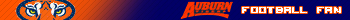 Auburn Tigers Football Fan