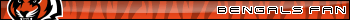 Cincinnati Bengals Fan