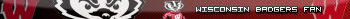 Wisconsin Badger Fan