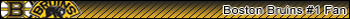 Boston Bruins