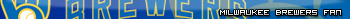 Milwaukee Brewers Fan