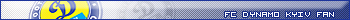FC Dynamo Kyiv Fan