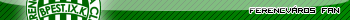 FerencvÃƒÂ¡ros Fan