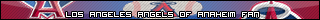 Los Angeles Angels of Anaheim Fan
