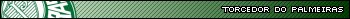 Torcedor do Palmeiras