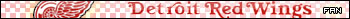 Detroit Red Wings