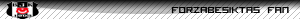 Userbar Besiktas