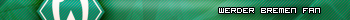 Werder fan