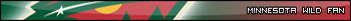 Minnesota Wild Fan