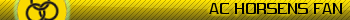AC Horsens Fan