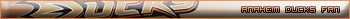 anaheim ducks