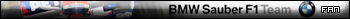BMW Sauber F1