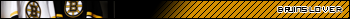 Boston Bruins Fan