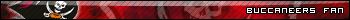 tampa bay buccaneers fan - nfl