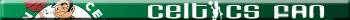 Boston Celtics Fan