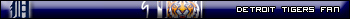 Detroit Tigers