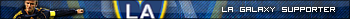 LA Galaxy Supporter