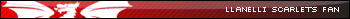 Llanelli Scarlets Rugby Union