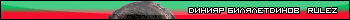 Bilyaletdinov Diniyar (a)