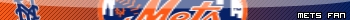 Mets Fan