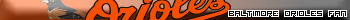 Baltimore Orioles Fan