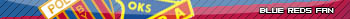 Polonia Bytom & Odra Opole