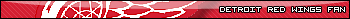 Detroit Redwings