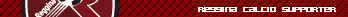 Reggina3