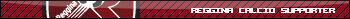 reggina4