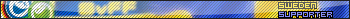 Sweden supporter