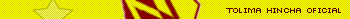 Otra del Vinotinto y Oro