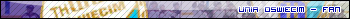 Unia Oswiecim Userbar