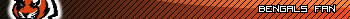 Cincinnati Bengals Fan Userbar