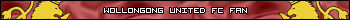 Wollongong United Football Club