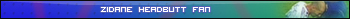 zidane headbutt fan