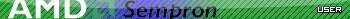 AMD Sempron User