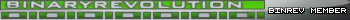Binrev Member