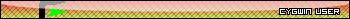 cygwin user