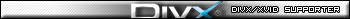 Divx/Xvid