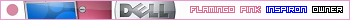 Flamingo Pink Inspiron