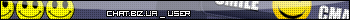 Chat BIZ ua user