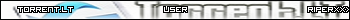 torrent.lt user