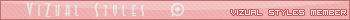 Vizual Styles Member Bar V3