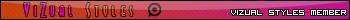 Vizual Styles Member Bar