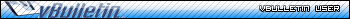 vBulletin User