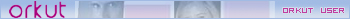 Orkut User
