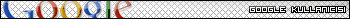 Google userbar 4 turkish users